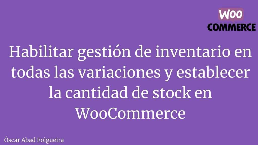 WooCoomerce Snippet - Habilitar gestión de inventario en todas las variaciones y establecer la cantidad de stock en WooCommerce.